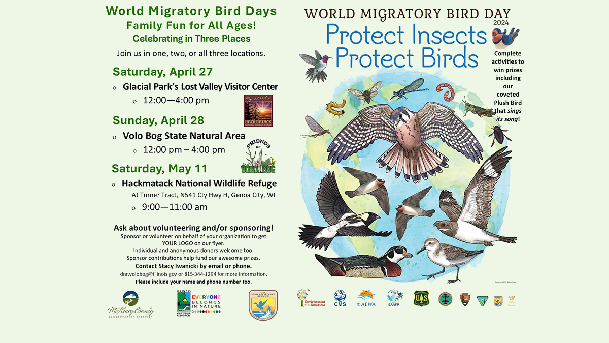 World Migratory Bird Days at Volo Bog State Natural Area
